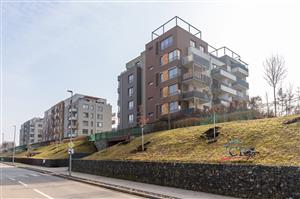 modreho-22.jpg
