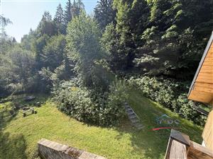 img-9239.jpg