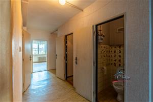 jivenska0519-12.jpg