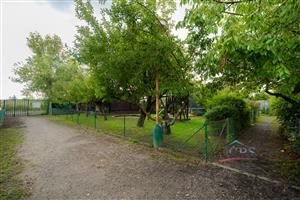 rps-260914-chs-23.jpg
