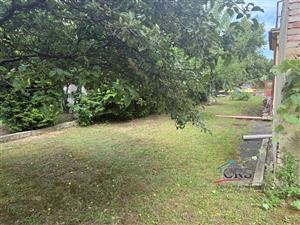 img-5510.jpg