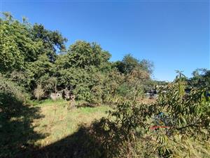 img-20250903-093731.jpg
