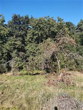 img-20250903-094028.jpg