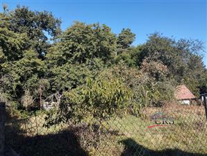 img-20250903-094053.jpg