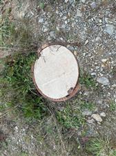 img-4024.jpg